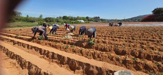 김순님의 자유주제 · 자유게시판 작성글 사진