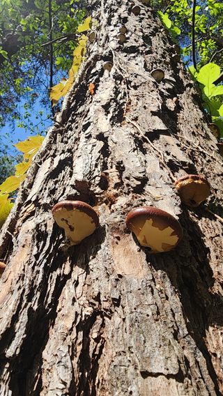장영수님의 자유주제 · 자유게시판 작성글 사진
