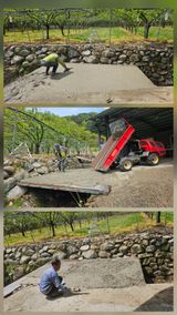 팜모닝 자유주제·자유게시판 게시글 이미지