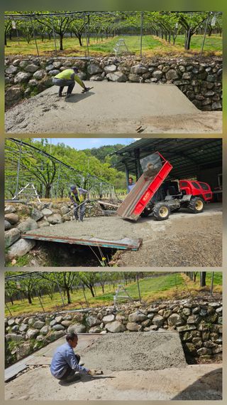 박영옥님의 자유주제 · 자유게시판 작성글 사진