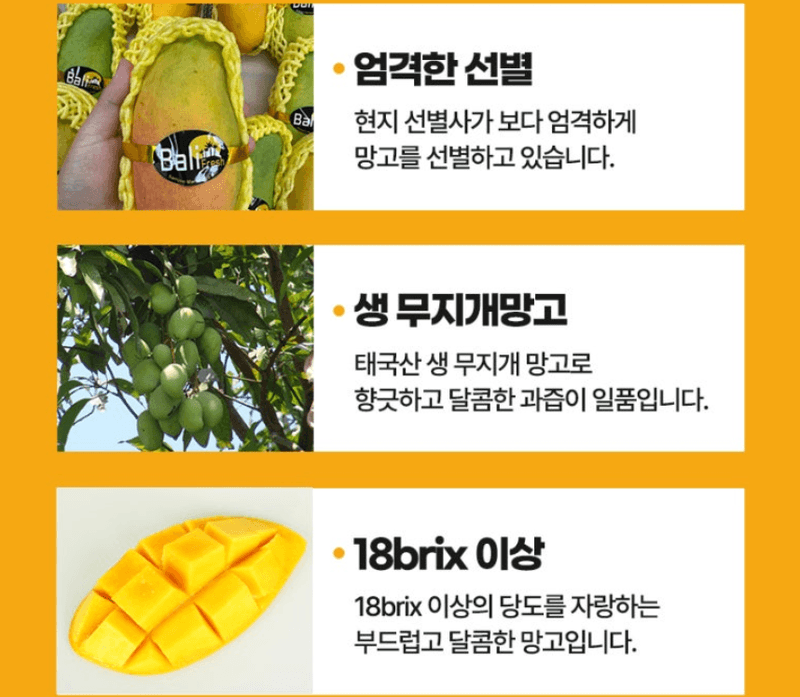 스피드번님의 장터 판매 상품 [무지개망고] 첨부 사진