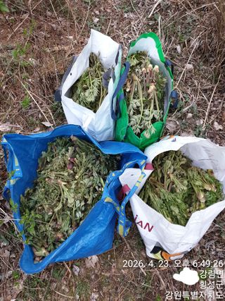 이유영님의 자유주제 · 자유게시판 작성글 사진