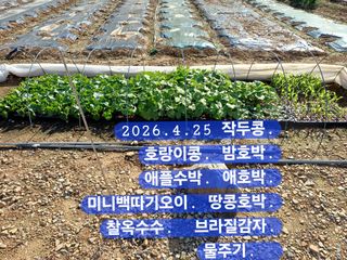 박성민님의 자유주제 · 자유게시판 작성글 사진