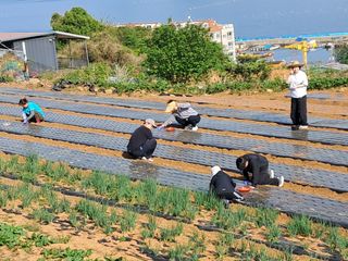 윤형곤님의 자유주제 · 자유게시판 작성글 사진