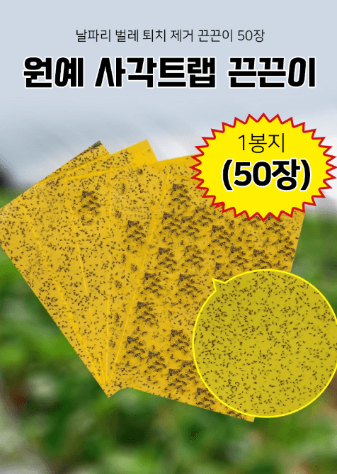 김복자님의 장터 판매 상품 [원예 사각트랩 벌레끈끈이 1봉지(50개)] 첨부 사진