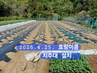 박성민님의 자유주제 · 자유게시판 작성글 사진