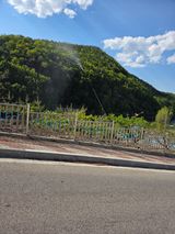 팜모닝 자유주제·자유게시판 게시글 이미지