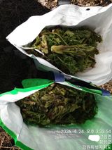 이유영님의 자유주제·자유게시판 작성글 사진