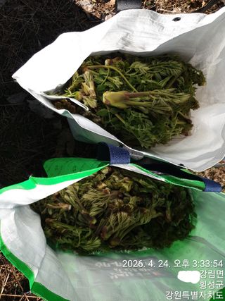 이유영님의 자유주제 · 자유게시판 작성글 사진