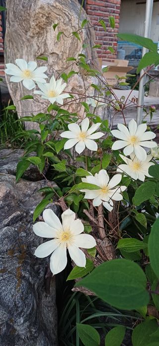 남궁봉님의 자유주제 · 사진전 작성글 사진