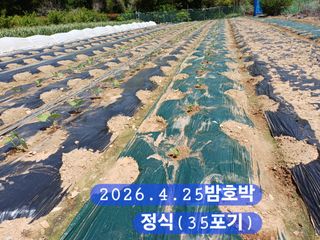 박성민님의 자유주제 · 자유게시판 작성글 사진