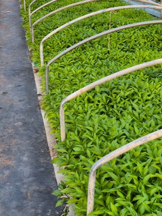 김영진(전남영광)님의 자유주제 · 자유게시판 작성글 사진