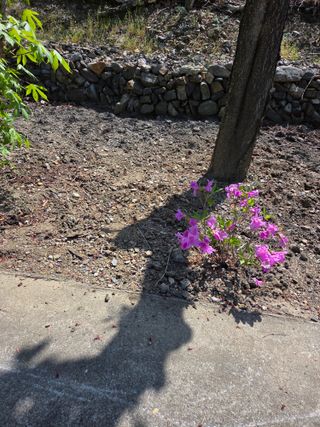 김용대님의 자유주제 · 자유게시판 작성글 사진