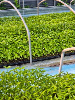 김영진(전남영광)님의 자유주제 · 자유게시판 작성글 사진