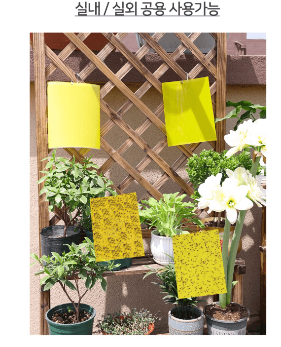 김복자님의 장터 판매 상품 [원예 사각트랩 벌레끈끈이 1봉지(50개)] 첨부 사진