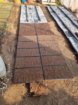 조경준님의 자유주제 · 자유게시판 작성글 사진