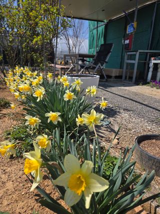 제주농부님의 자유주제 · 자유게시판 작성글 사진