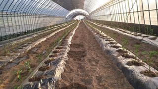 당진님의 자유주제 · 자유게시판 작성글 사진