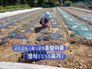 박성민님의 자유주제 · 자유게시판 작성글 사진