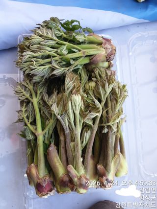 이유영님의 자유주제 · 자유게시판 작성글 사진