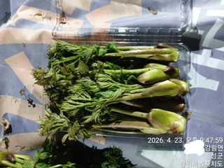 이유영님의 자유주제 · 자유게시판 작성글 사진