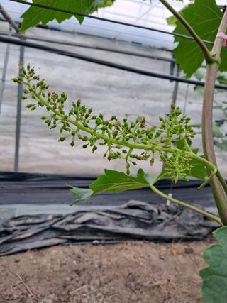 포도님의 자유주제 · 자유게시판 작성글 사진