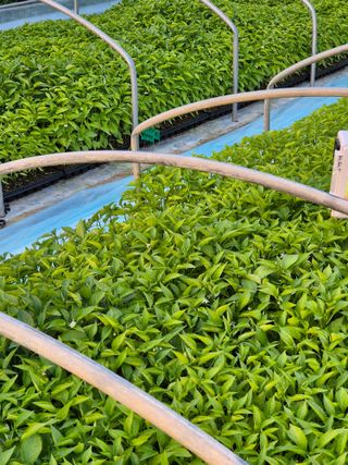 김영진(전남영광)님의 자유주제 · 자유게시판 작성글 사진