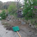 팜모닝 자유주제·자유게시판 게시글 이미지