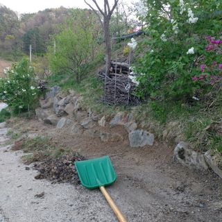 가로수님의 자유주제 · 자유게시판 작성글 사진