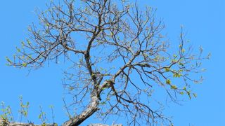 박신영님의 자유주제 · 자유게시판 작성글 사진