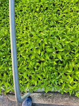 김영진(전남영광)님의 자유주제·자유게시판 작성글 사진