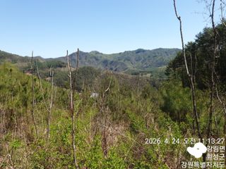 이유영님의 자유주제 · 자유게시판 작성글 사진