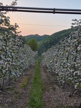 팜모닝 자유주제·자유게시판 게시글 이미지