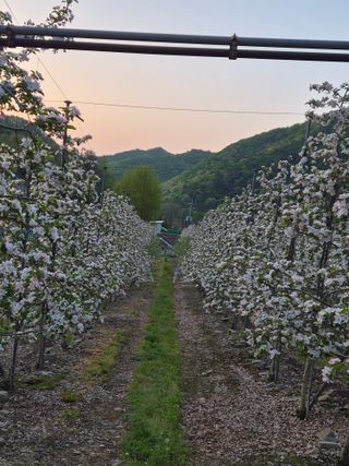 정상붕님의 자유주제·자유게시판 작성글 사진