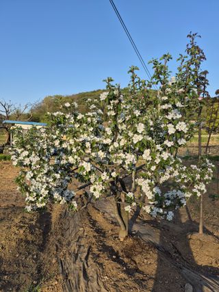 Kns4324님의 자유주제 · 자유게시판 작성글 사진
