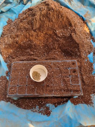 조경준님의 자유주제·자유게시판 작성글 사진