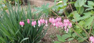 남궁봉님의 자유주제 · 사진전 작성글 사진