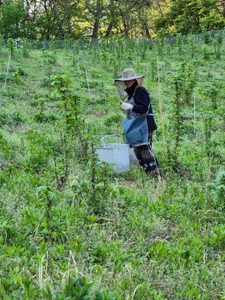 강인규님의 자유주제 · 자유게시판 작성글 사진