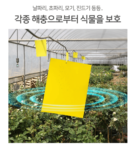 김복자님의 장터 판매 상품 [원예 사각트랩 벌레끈끈이 1봉지(50개)] 첨부 사진