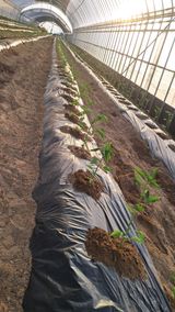 당진님의 자유주제·자유게시판 작성글 사진