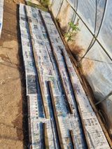 조경준님의 자유주제·자유게시판 작성글 사진