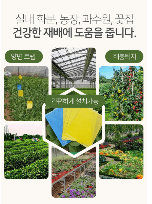 김복자님의 장터 판매 상품 [원예 사각트랩 벌레끈끈이 1봉지(50개)] 첨부 사진