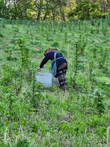 강인규님의 자유주제·자유게시판 작성글 사진