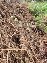 팜모닝 자유주제·자유게시판 게시글 이미지