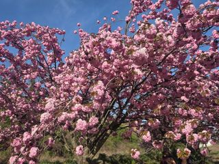 제주농부님의 자유주제 · 자유게시판 작성글 사진