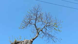 박신영님의 자유주제 · 자유게시판 작성글 사진