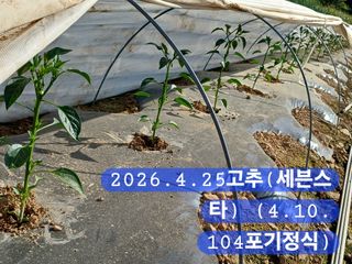 박성민님의 자유주제 · 자유게시판 작성글 사진