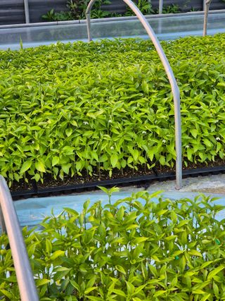 김영진(전남영광)님의 자유주제 · 자유게시판 작성글 사진