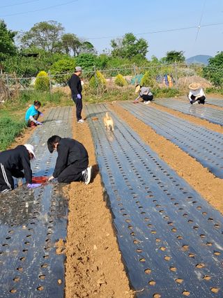윤형곤님의 자유주제 · 자유게시판 작성글 사진
