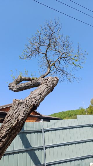 박신영님의 자유주제 · 자유게시판 작성글 사진